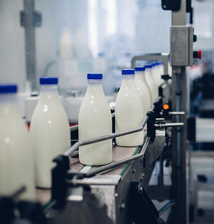 Dairy / Pharmaceutical Industry